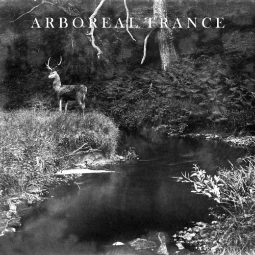 Arboreal Trance : Apparition - The Wolf